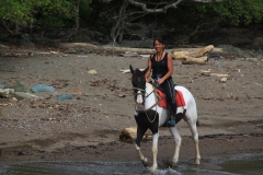 Waterfalls-horses