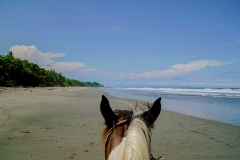 beach-horsestour